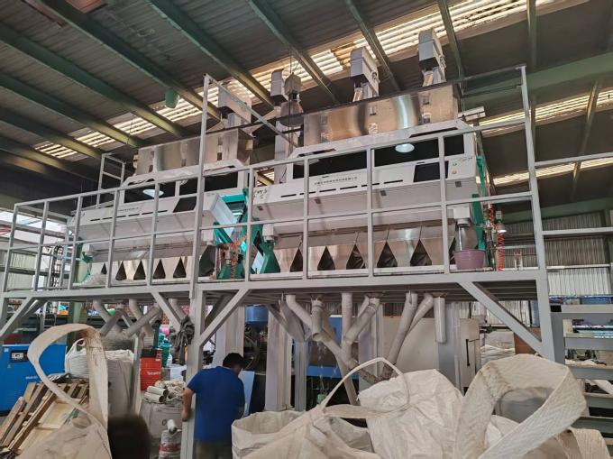 Macchina di selezione CCD multifunzionale per cereali Fagioli di Mung Fagioli rossi Sortitore ottico a colori per l'agricoltura e la lavorazione alimentare 13