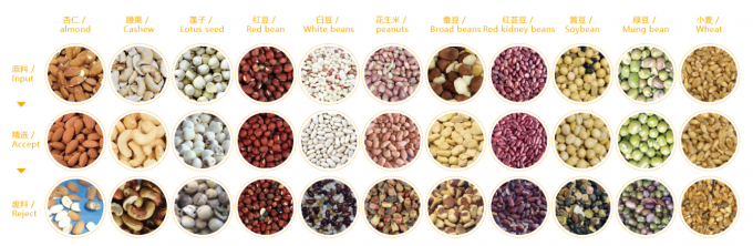 2025 Hot Sale Prezzo di fabbrica CCD Color Nut Sorter Macadamia Nut Separation Equipment con CE 2