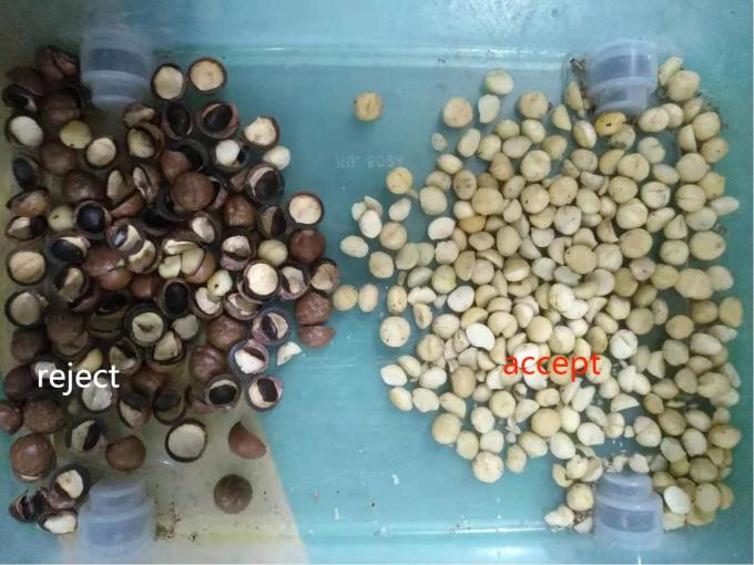 2025 Hot Sale Prezzo di fabbrica CCD Color Nut Sorter Macadamia Nut Separation Equipment con CE 3