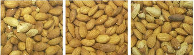 AI Learning Intelligent Belt Style Peanut Hazelnut Pistachio Nuts Color Sorting Machine 13