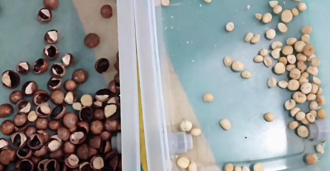 AI Learning Intelligent Belt Style Peanut Hazelnut Pistachio Nuts Color Sorting Machine 14