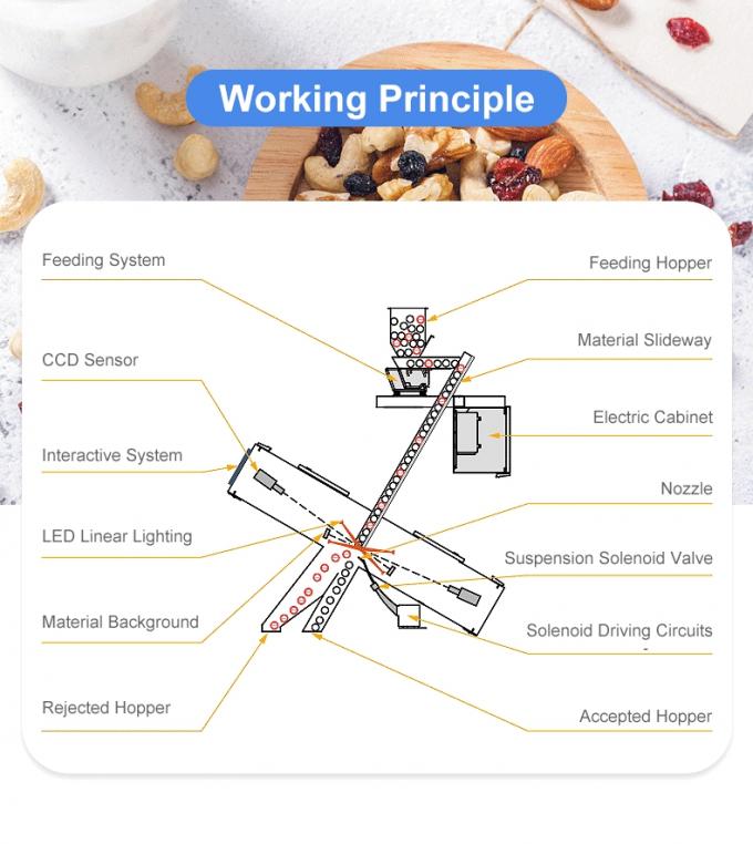 Wenyao 5 Chute Fabbrica cinese Sortitore ottico Cardamomo Fagiolo Color Sortitore 4
