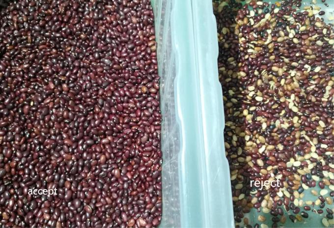 Macchina selezionatrice ottica intelligente ad alta precisione per fagioli di soia e fagioli rossi 10