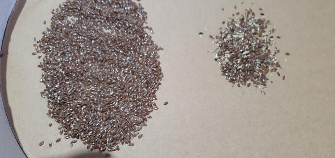 Wenyao 2025 Hot Selling Semi Sorting Full Automatic Chia Seeds Sementi di lino Color Sorting Machine 13