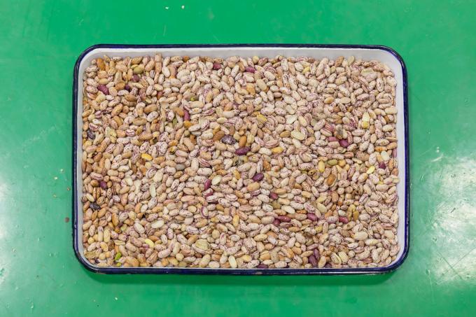 Wenyao Nuovo telecomando Intelligente Grano Rosso Reni Fagioli Color Sorting Machine 4