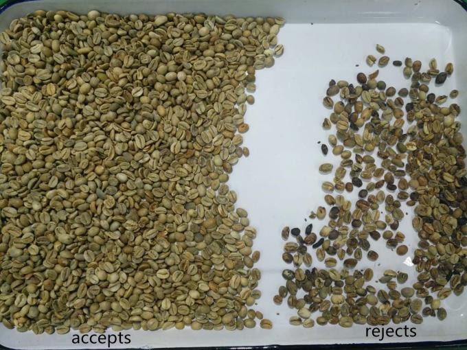 Macchina selezionatrice ad alte prestazioni Wenyao Optical per fagioli Kidney e fagioli brasiliani 6