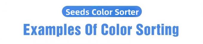 Wenyao 5 Chute Fabbrica cinese Sortitore ottico Cardamomo Fagiolo Color Sortitore 1