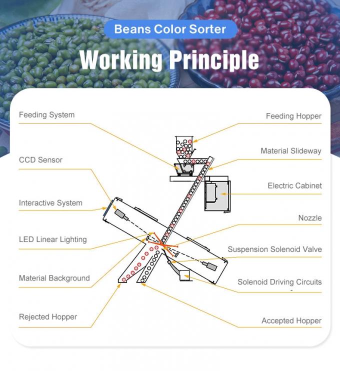 Wenyao Cina Prezzo di fabbrica completamente automatico Fagioli rossi Reni Fagioli Color Sorting Machine 3
