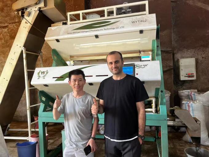 Wenyao CCD Macchina di selezione ottica dei colori per chicchi di caffè chicchi di riso 14