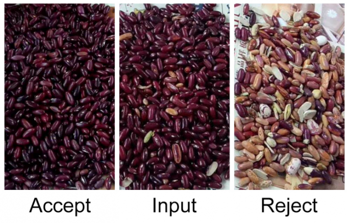 Macchina selezionatrice ottica intelligente ad alta precisione per fagioli di soia e fagioli rossi 9