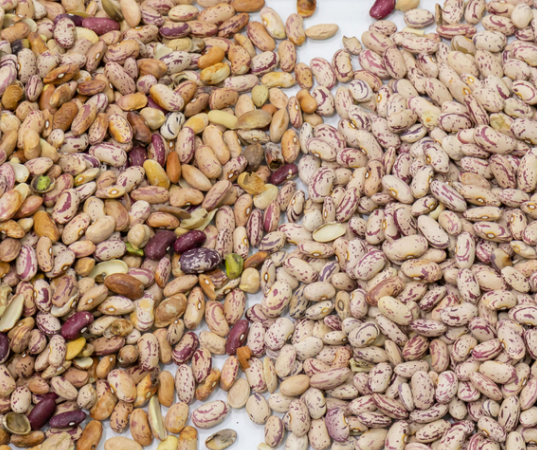 Macchina selezionatrice ottica intelligente ad alta precisione per fagioli di soia e fagioli rossi 11