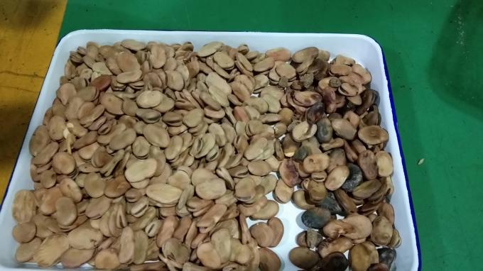 Macchina selezionatrice ad alte prestazioni Wenyao Optical per fagioli Kidney e fagioli brasiliani 5