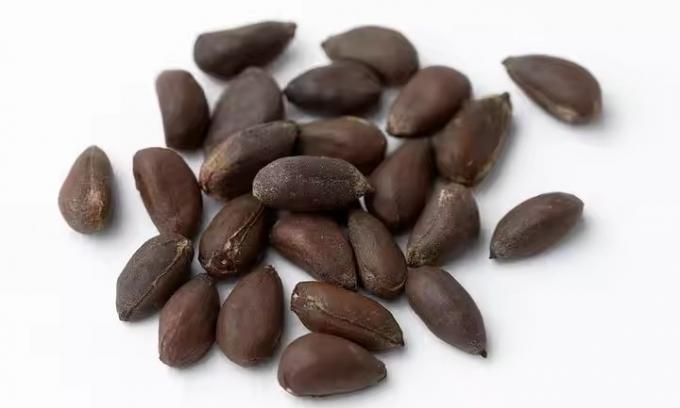 Selezionatrice ottica professionale Wenyao per sesamo, colore, macchina selezionatrice per semi di cotone, prezzo 11