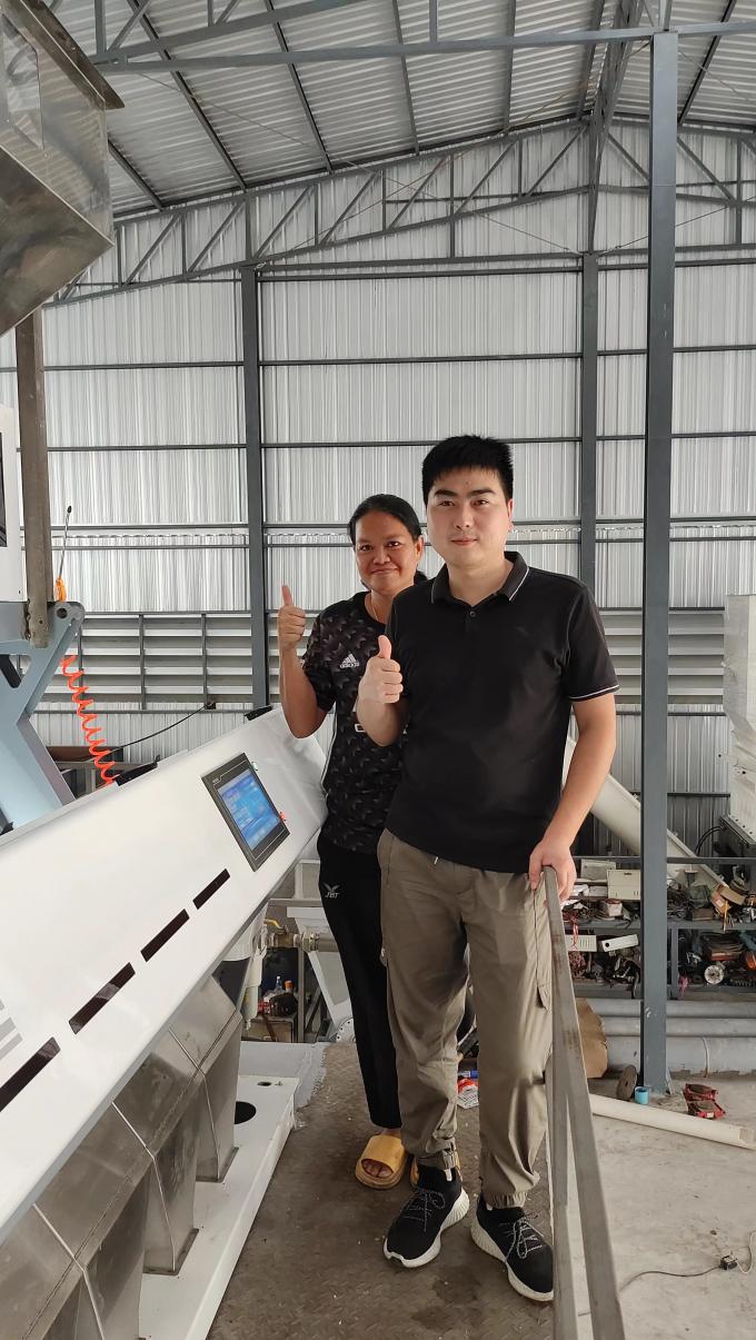 Wenyao CCD Macchina di selezione ottica dei colori per chicchi di caffè chicchi di riso 10