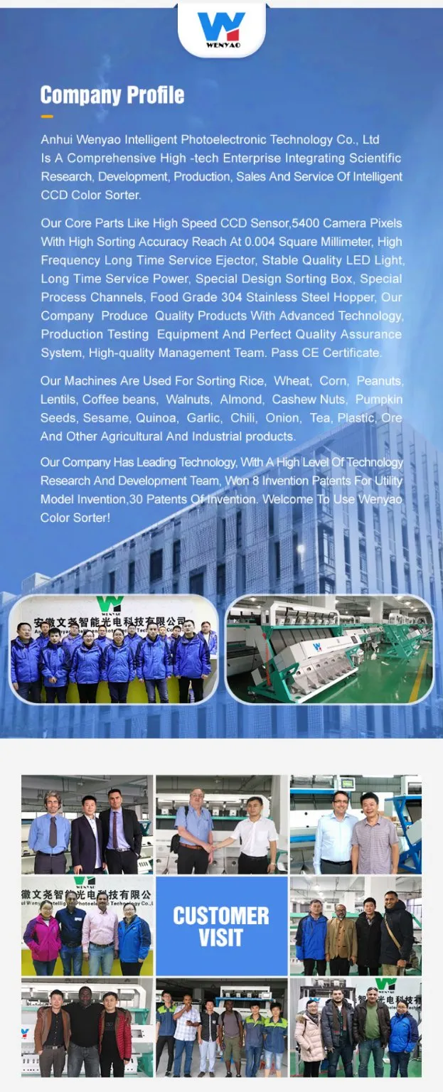 Selezionatrice per la cernita del colore dei fagioli di soia, macchina per la selezione dei legumi, pulizia dei semi di fagioli verdi e neri di Sohum 3