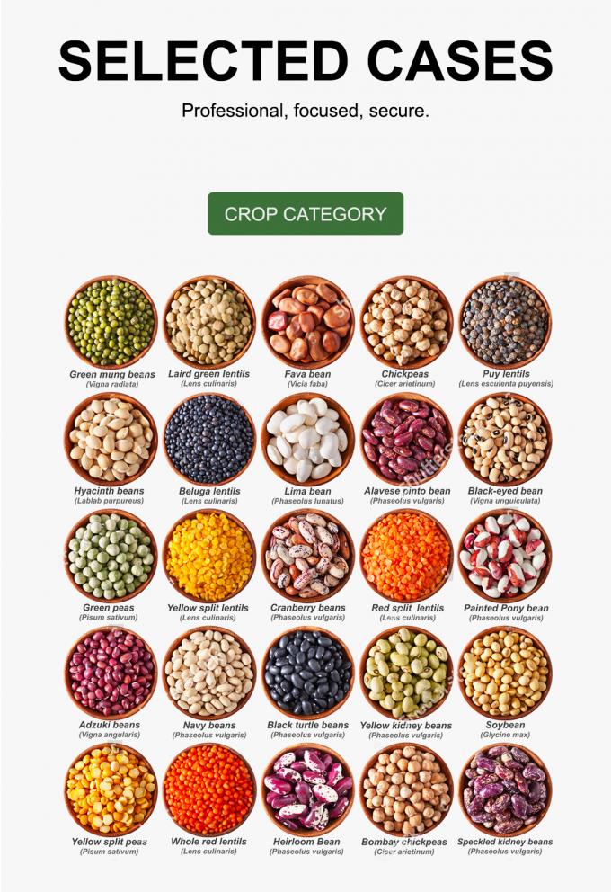 WENYAO Parametri Regolabili di Smistamento ad Alta Velocità per Linee di Smistamento Granulari Selezionatrice Ottica 8