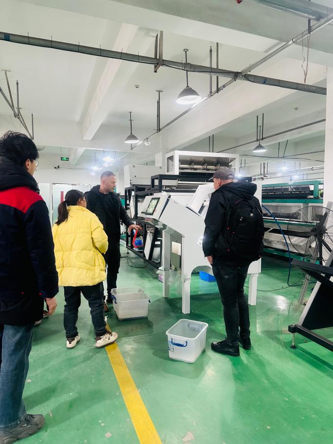 Lancio del nuovo prodotto WENYAO 2025 304/316L  Selezionatrice cromatica CCD ad alta precisione per particelle di sale grosso 10