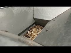 Macchina per la selezione di noccioline per la lavorazione di noccioline di candela Sortitore di colore di buona qualità per noccioline