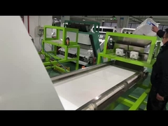 Macchina per la selezione delle verdure da 3 t/h, Macchina per la selezione dei colori di peperoncino rosso secco