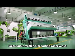 7 scarico cashew nut Wenyao color sorter