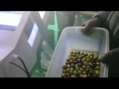 Sortitore di colore oliva