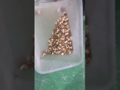 Sortitore di colori di pistacchio tipo cintura