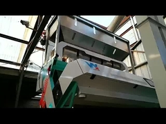 Sortitore di colori di fagioli larghi