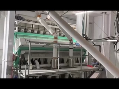 Sortitore di colori di mais