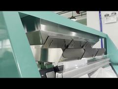 Sortitore di colori di fagioli bianchi