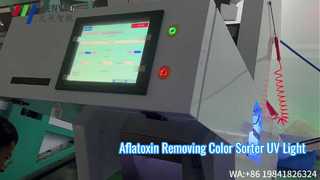 Tecnologia a luce UV Selezionatore di colori noce moscata Rimuove l'aflatossina