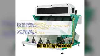 Selezionatrice di noci 4000 kg/ora 999 Precisione